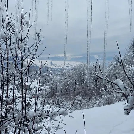 Smerekova Khata On Pidgirna Guest house